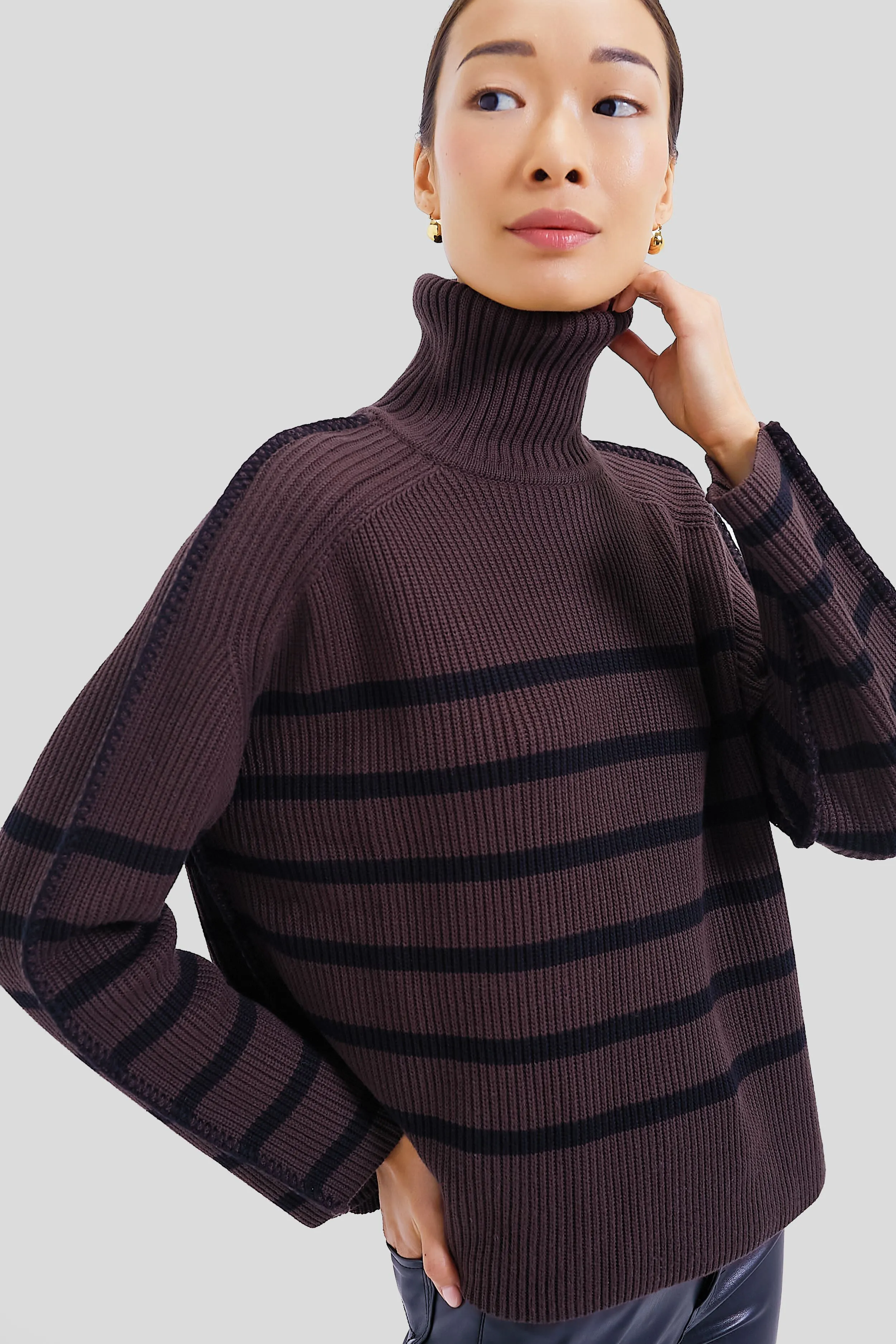 Chocolate & Black Striped Emsley Turtleneck