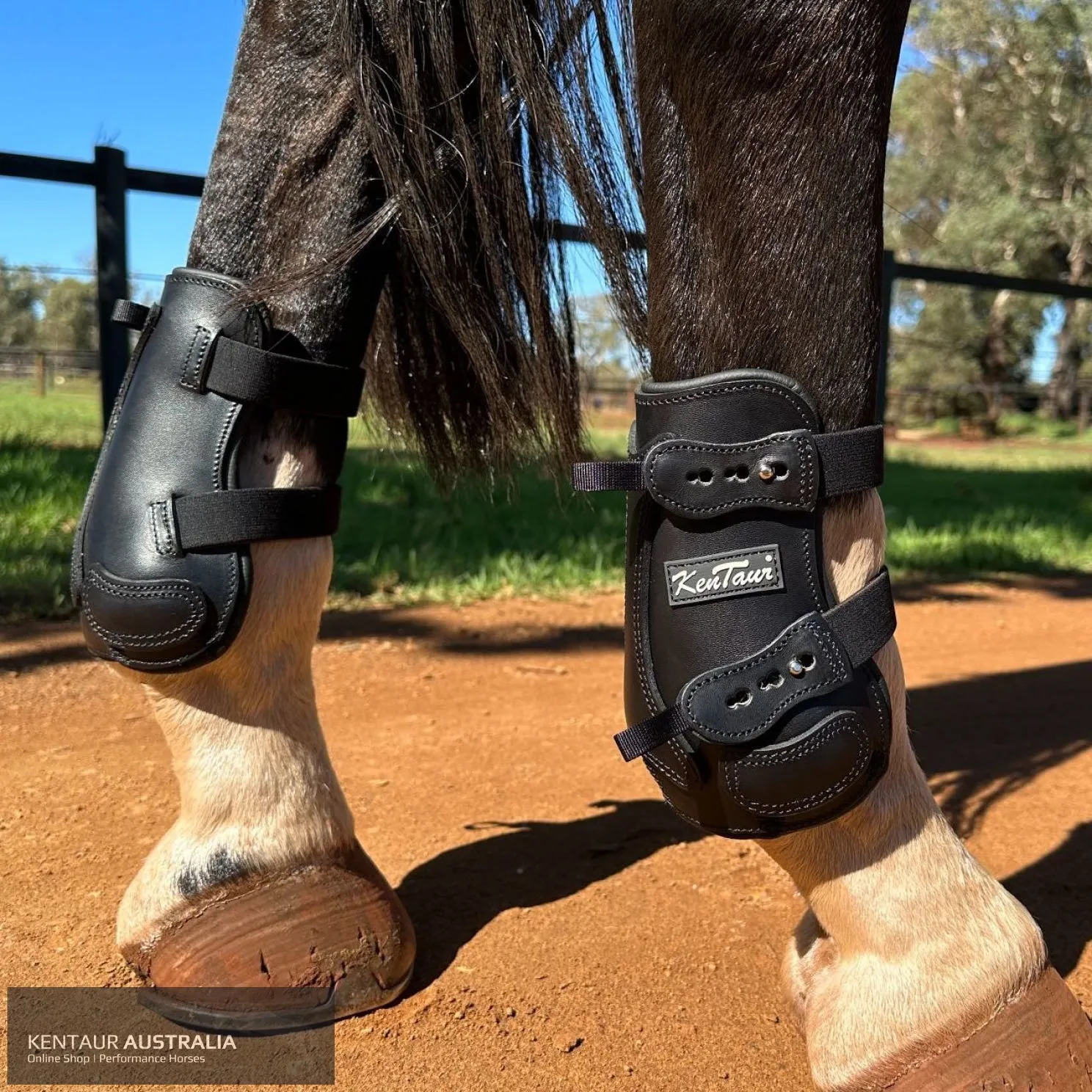 Kentaur 'Flicker 20cm' Hind Boot