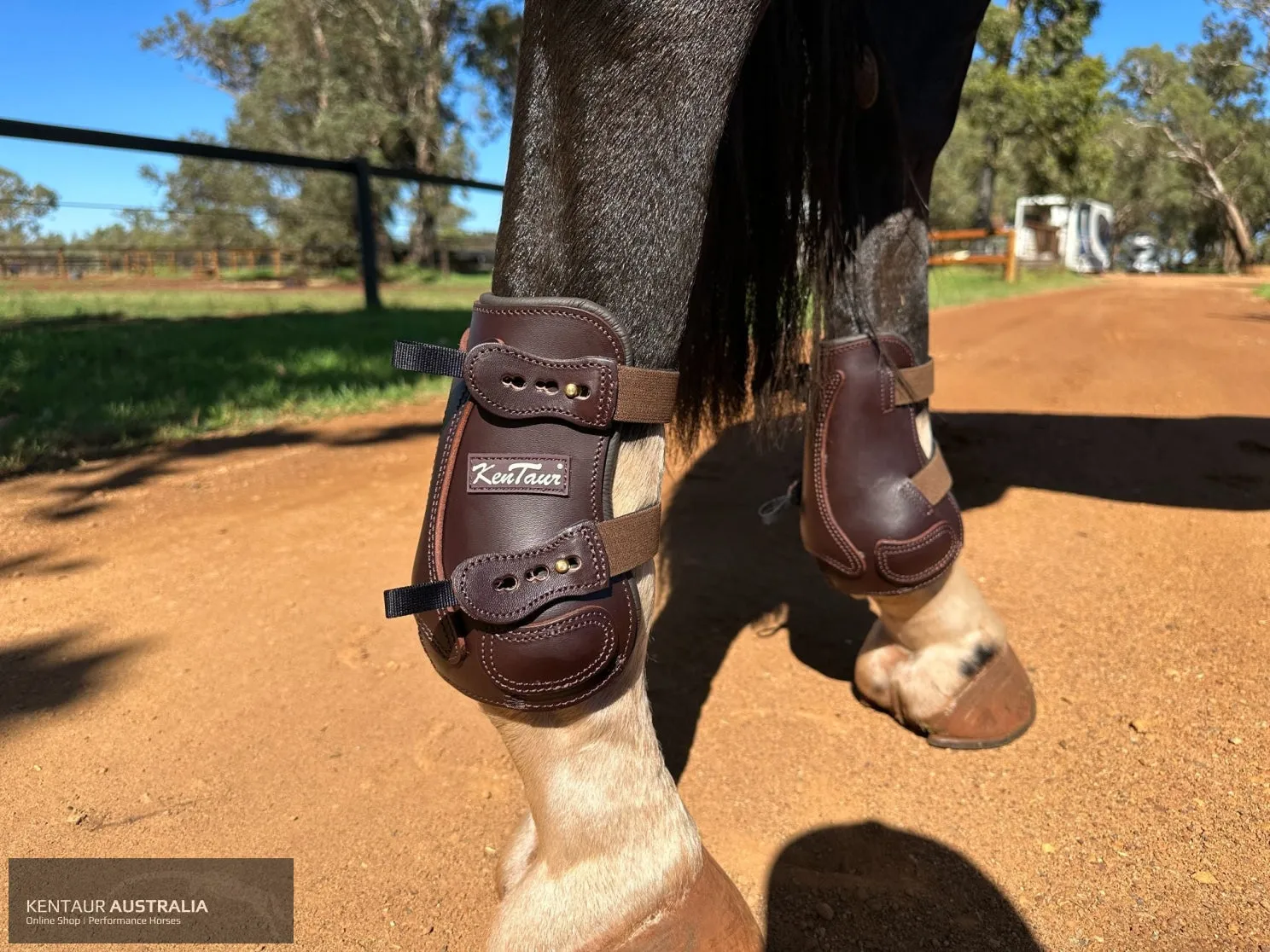 Kentaur 'Flicker 20cm' Hind Boot